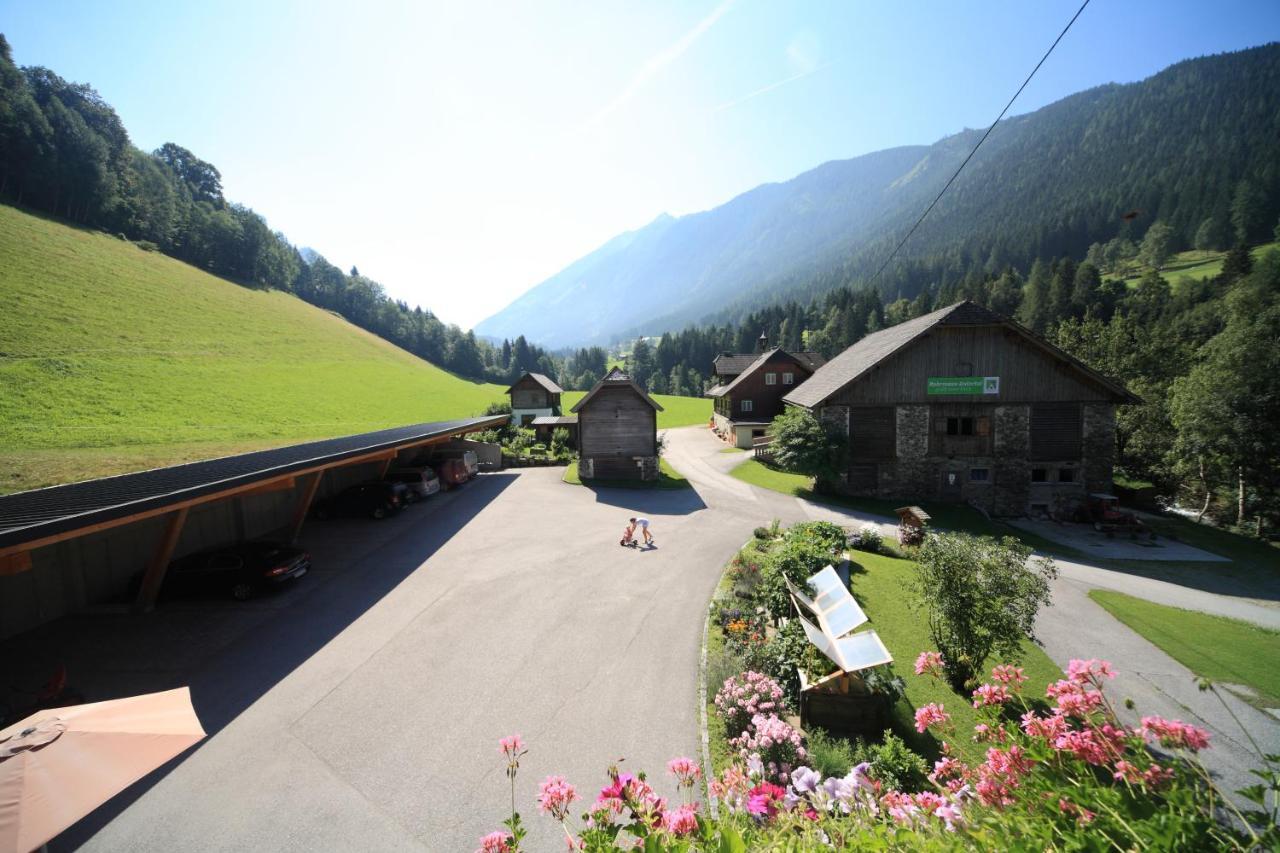 Farma Ahlhof Schladming